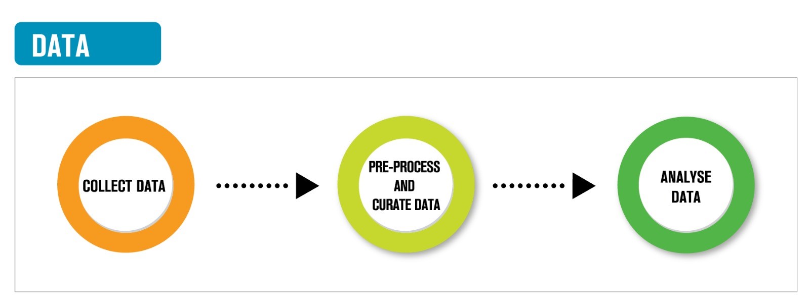 Data phase of the participatory science lifecycle