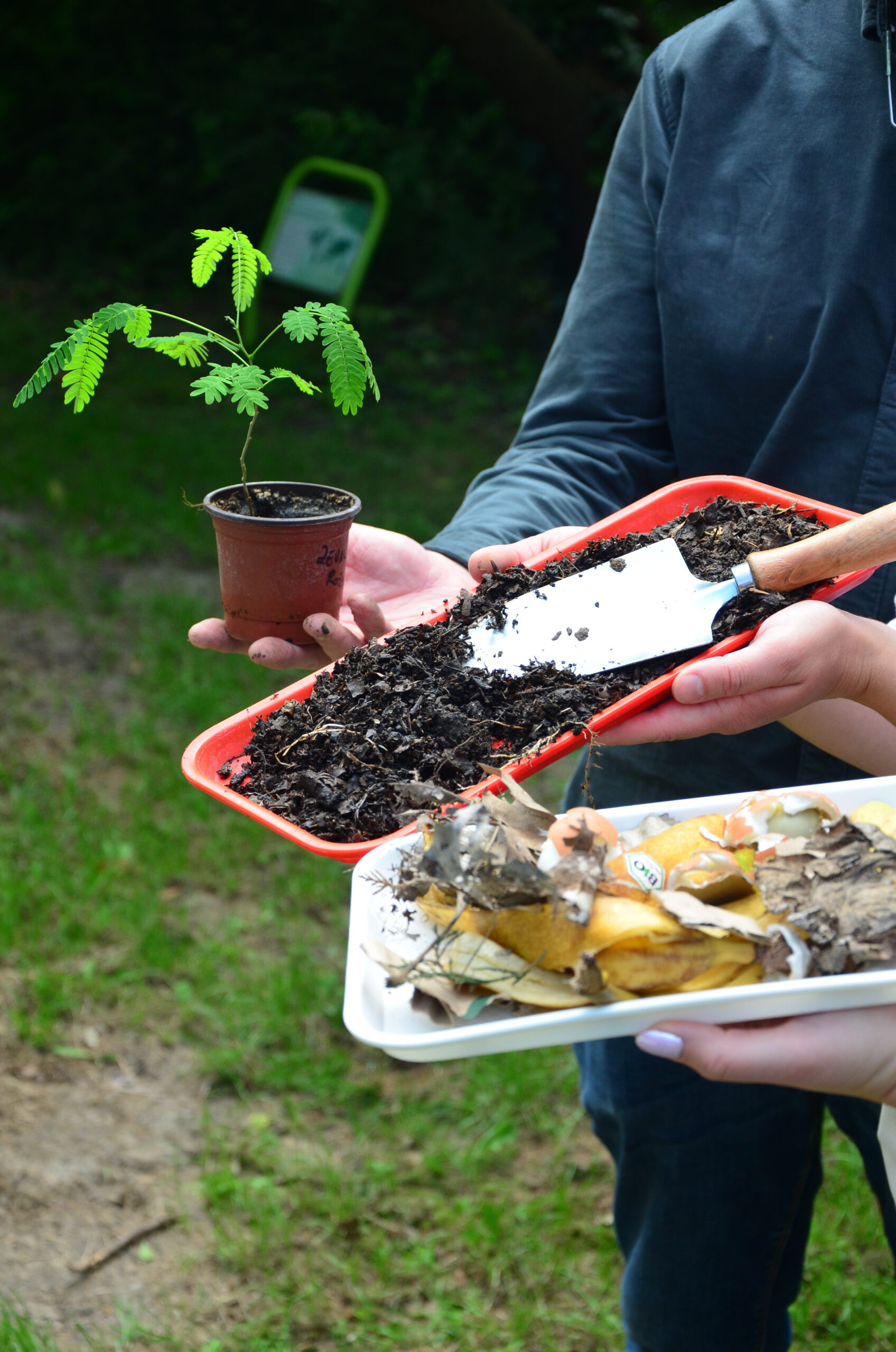 From Waste to Wealth