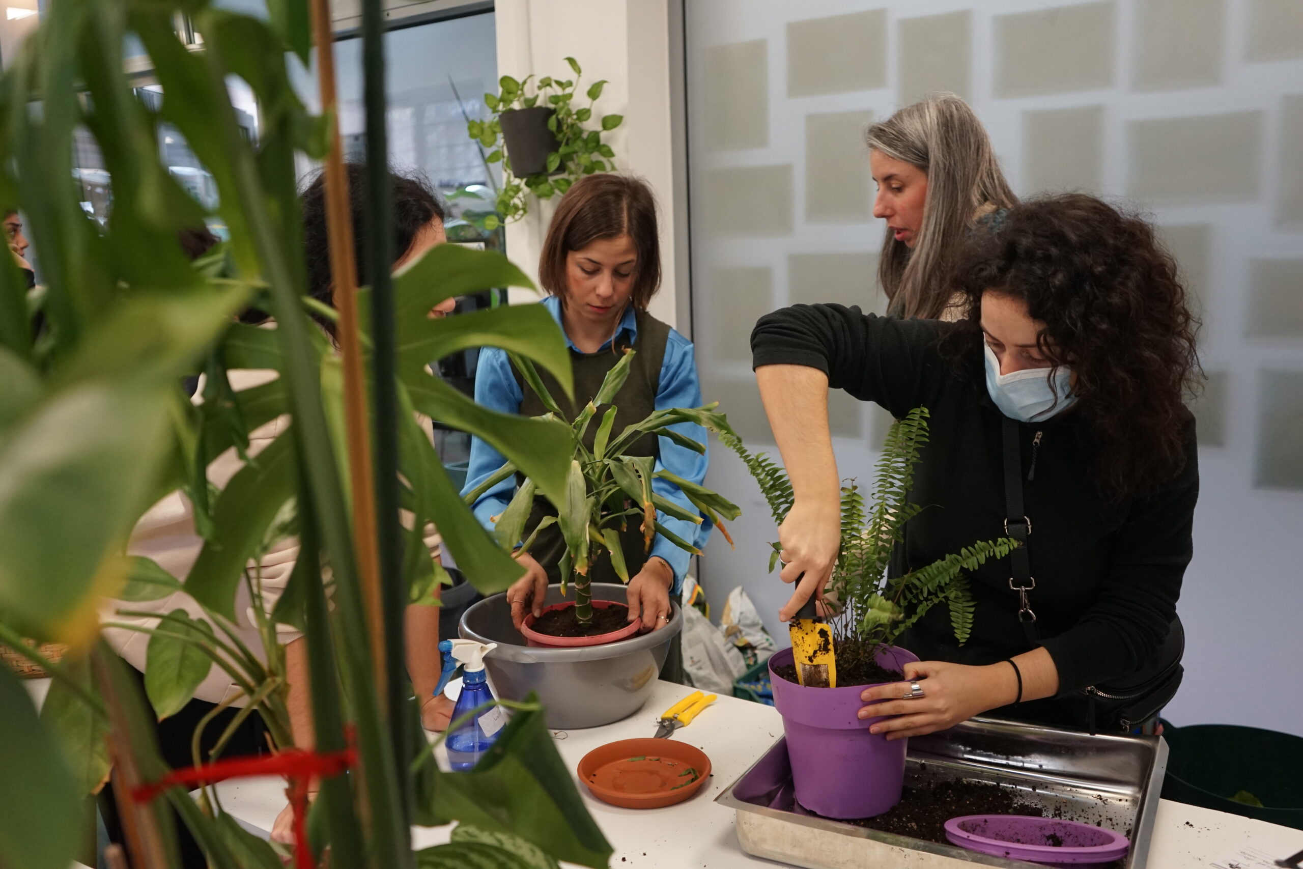 Green Kypseli Community Garden
