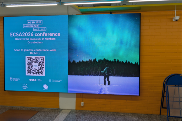 Untitled design (40)