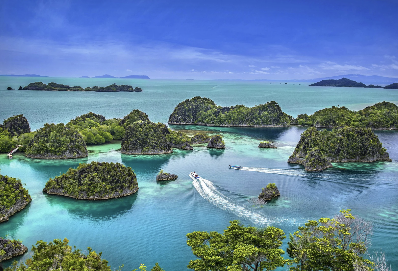No project is an island – A celebration of the IMPETUS and ECS Projects